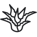 Aloe Vera užvalkalas